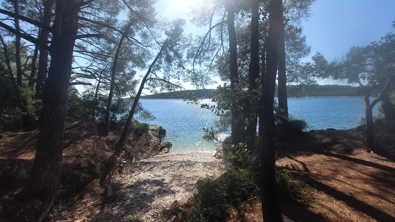 Apartman Carpe Diem Apartment Mali Losinj