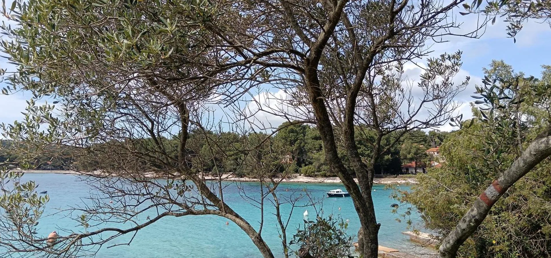 Apartman Carpe Diem Apartment Mali Losinj Croatia